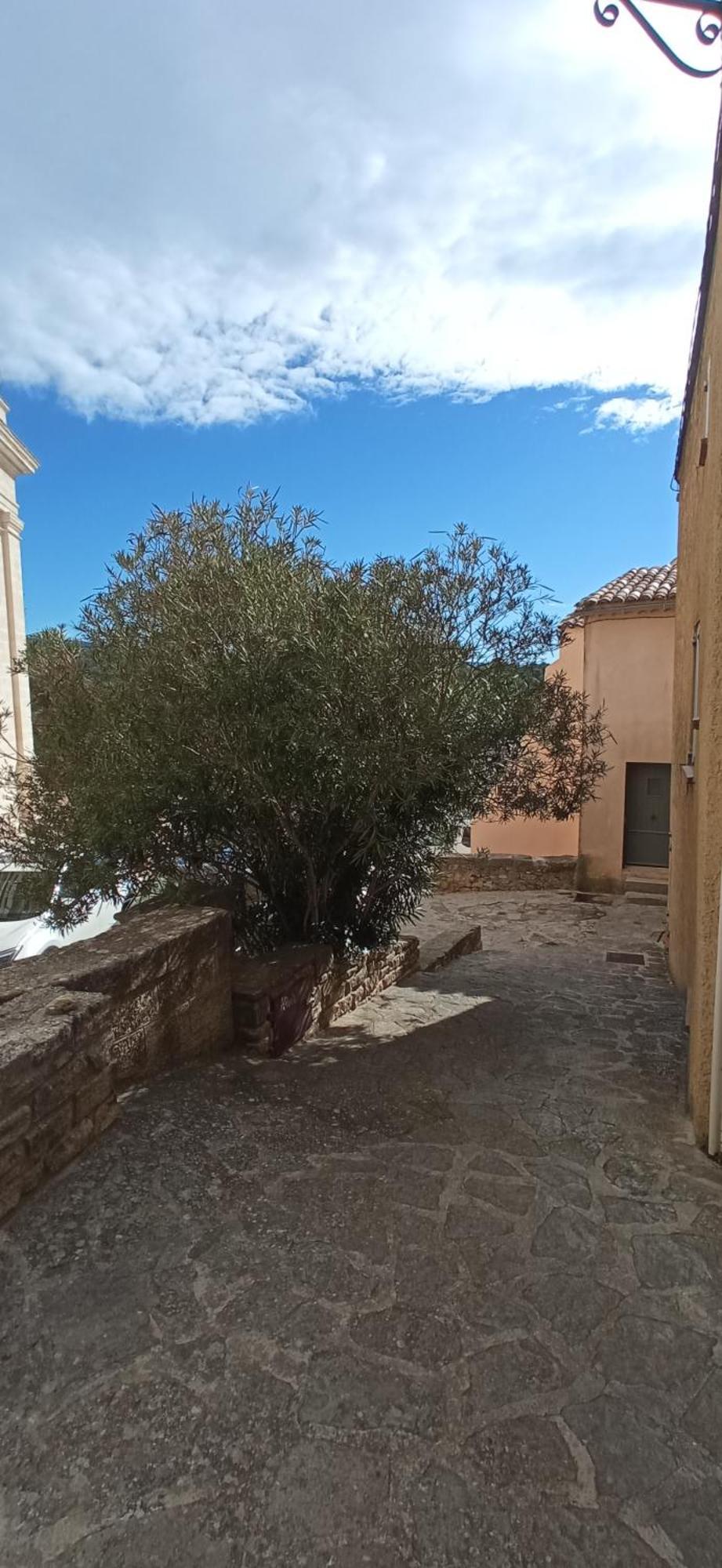 Studio Tout Confort En Provence Mont Ventoux. Bédoin المظهر الخارجي الصورة