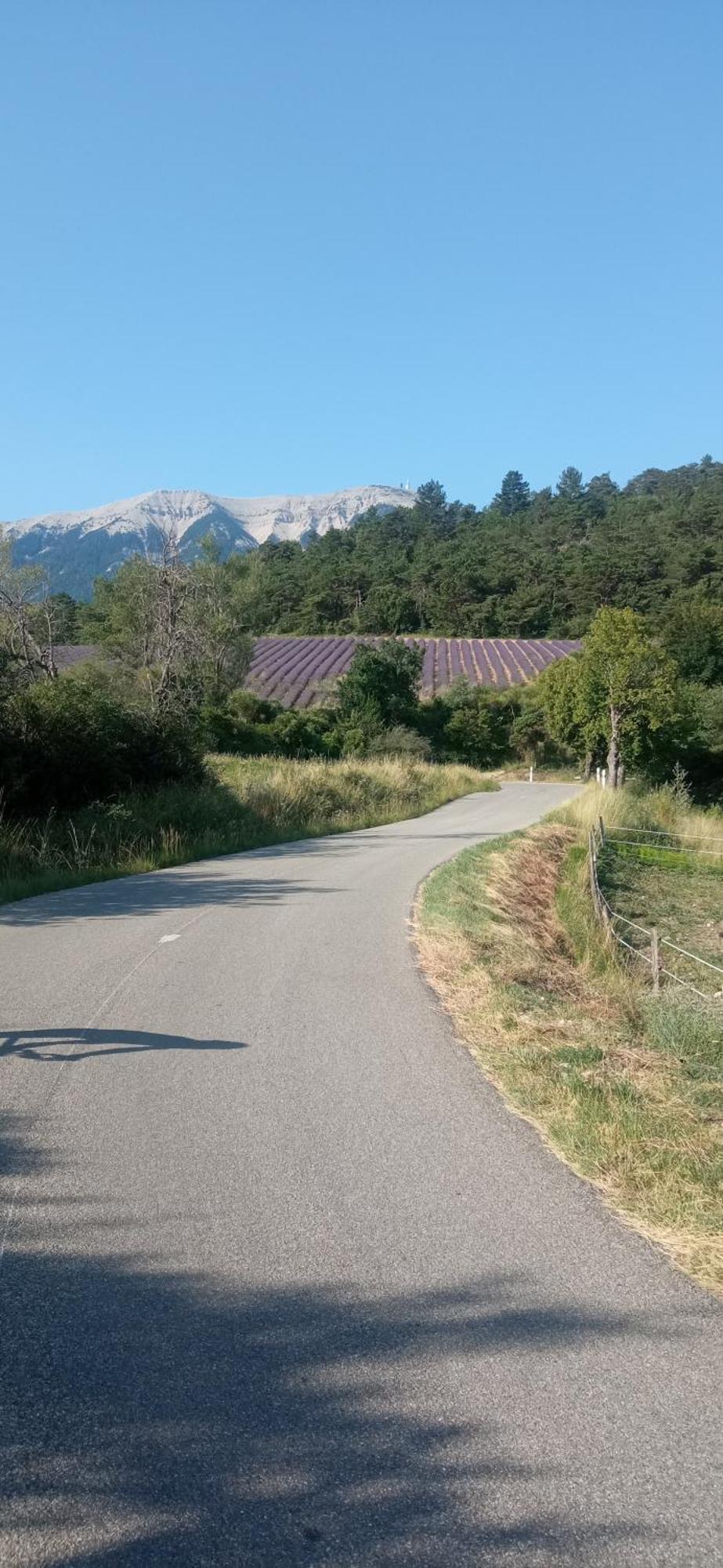Studio Tout Confort En Provence Mont Ventoux. Bédoin المظهر الخارجي الصورة