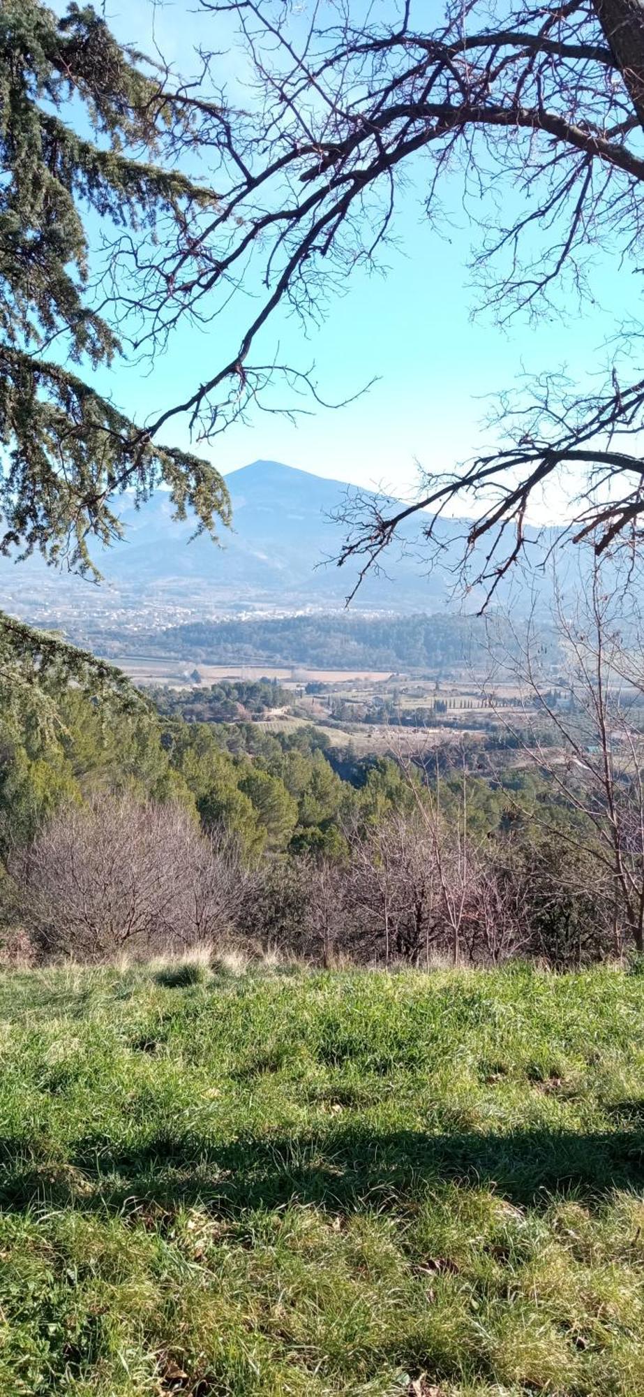 Studio Tout Confort En Provence Mont Ventoux. Bédoin المظهر الخارجي الصورة