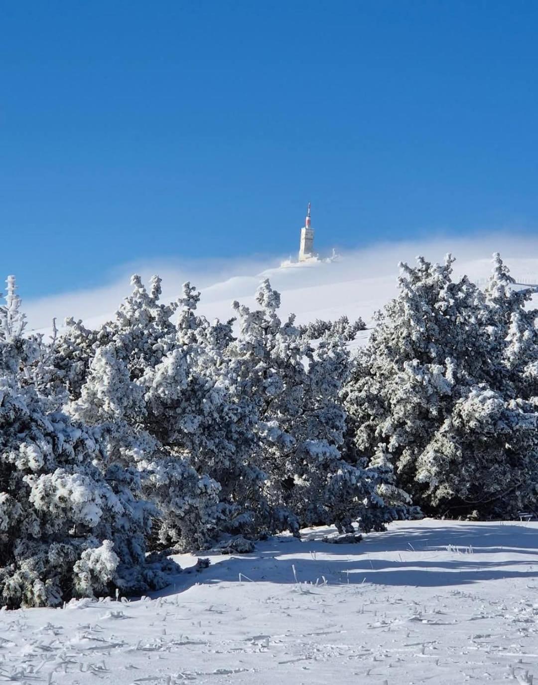Studio Tout Confort En Provence Mont Ventoux. Bédoin المظهر الخارجي الصورة
